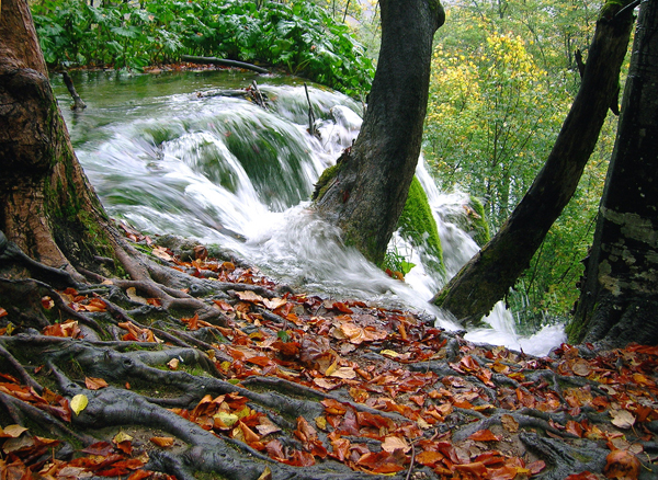 Lagos Plitvice - Parque Nacional Unesco